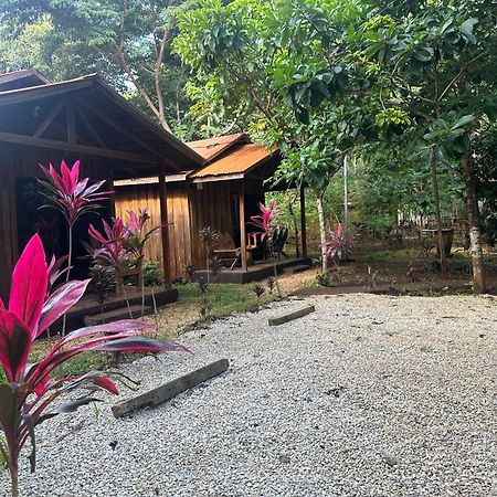 Finca Avellanas Lorena エクステリア 写真