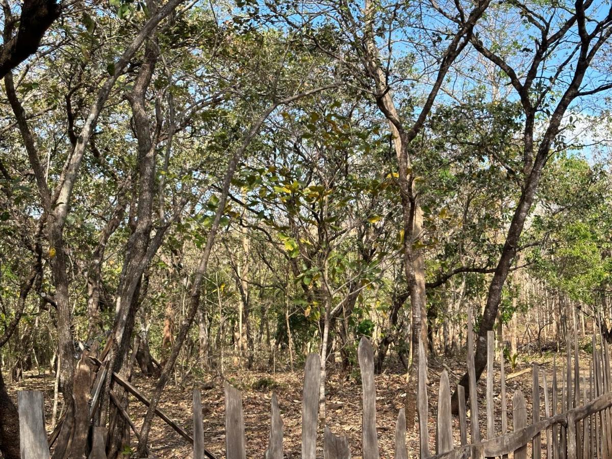Finca Avellanas Lorena エクステリア 写真