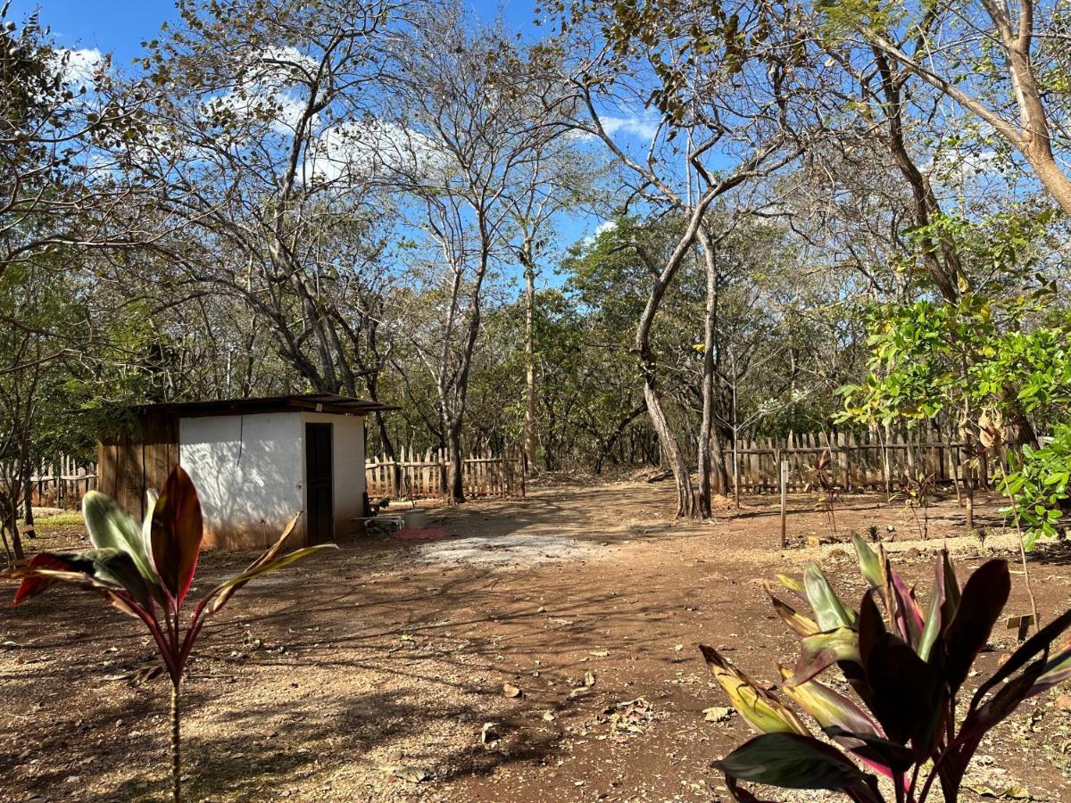 Finca Avellanas Lorena エクステリア 写真