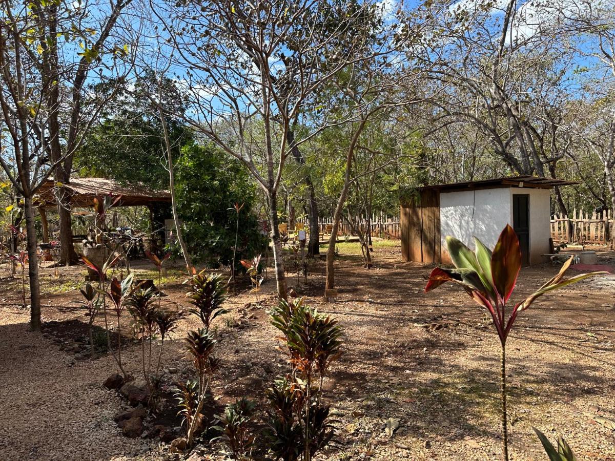 Finca Avellanas Lorena エクステリア 写真