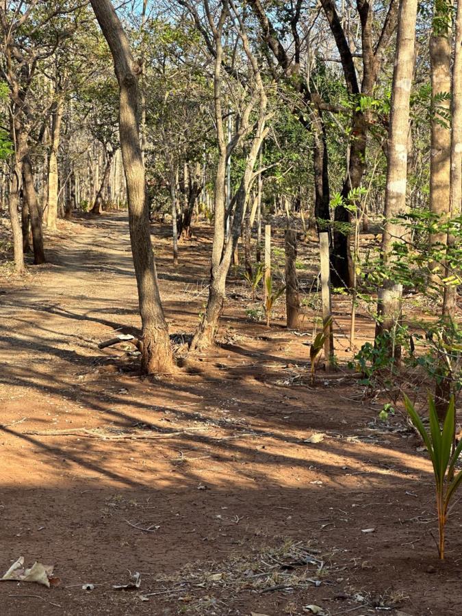 Finca Avellanas Lorena エクステリア 写真