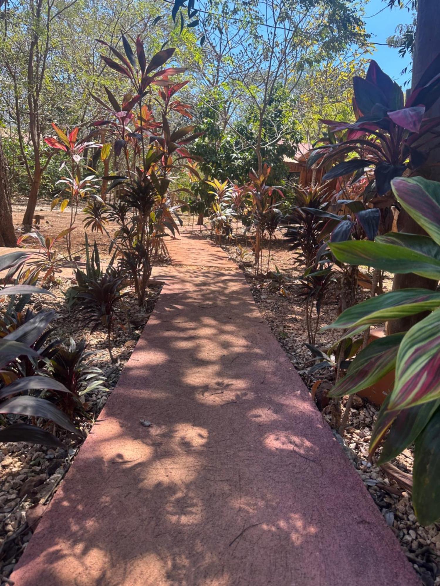 Finca Avellanas Lorena エクステリア 写真