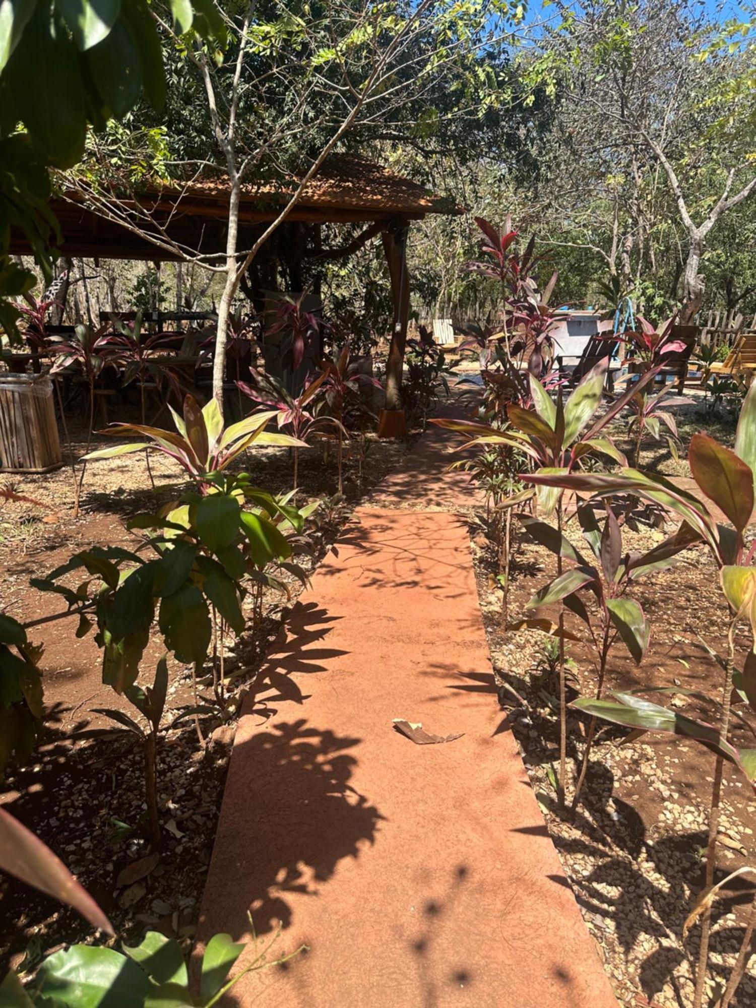 Finca Avellanas Lorena エクステリア 写真
