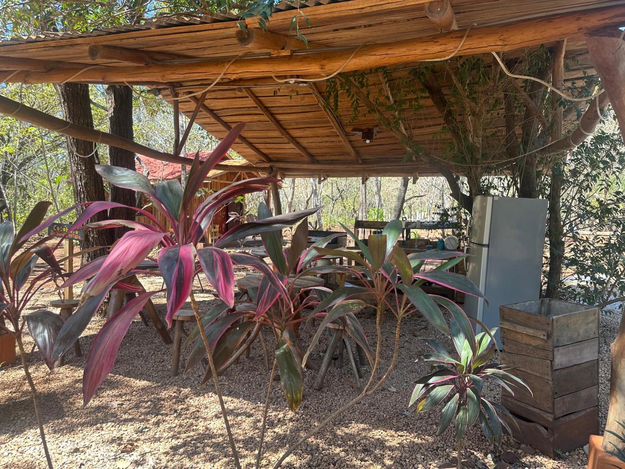 Finca Avellanas Lorena エクステリア 写真