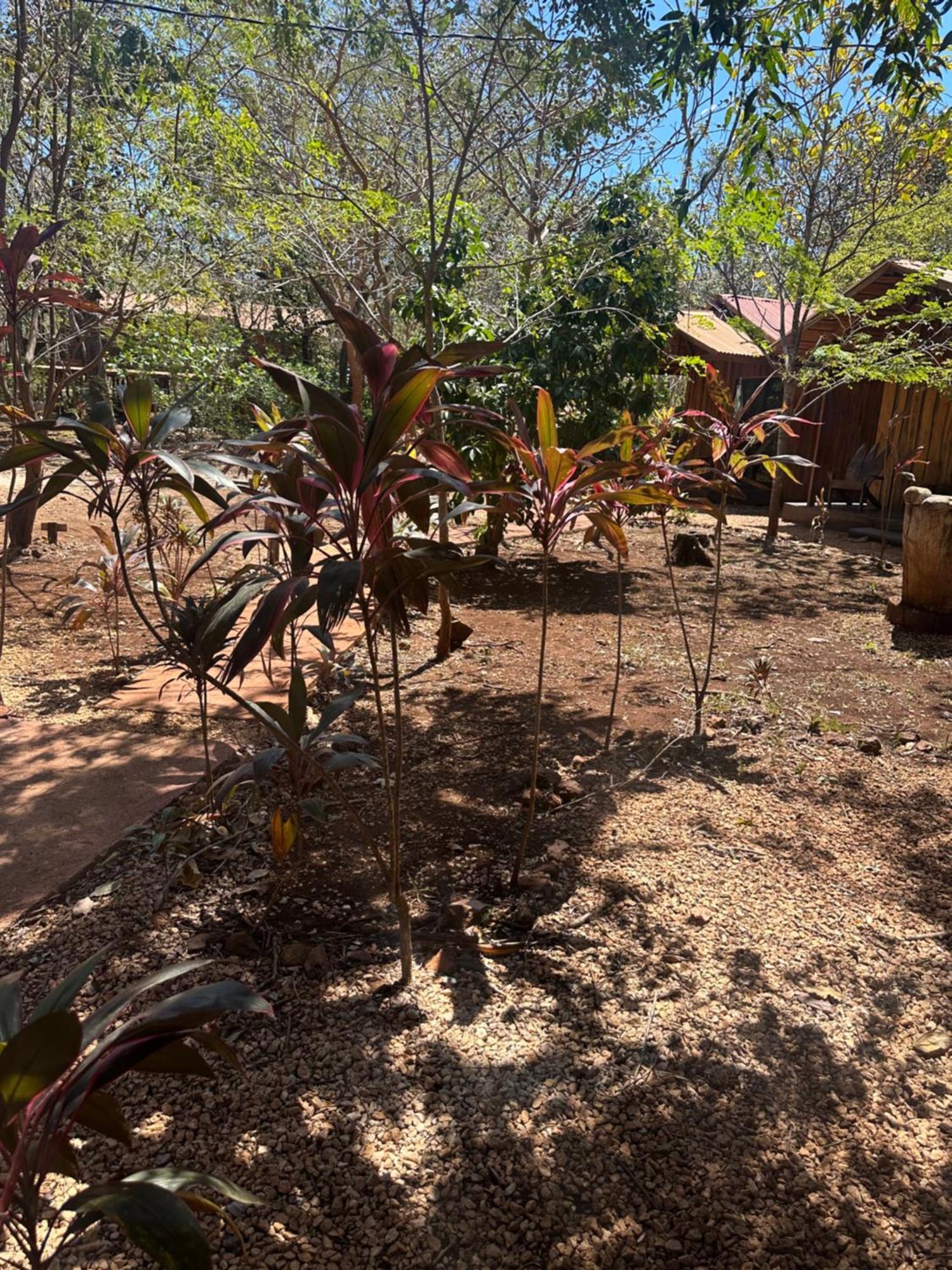 Finca Avellanas Lorena エクステリア 写真