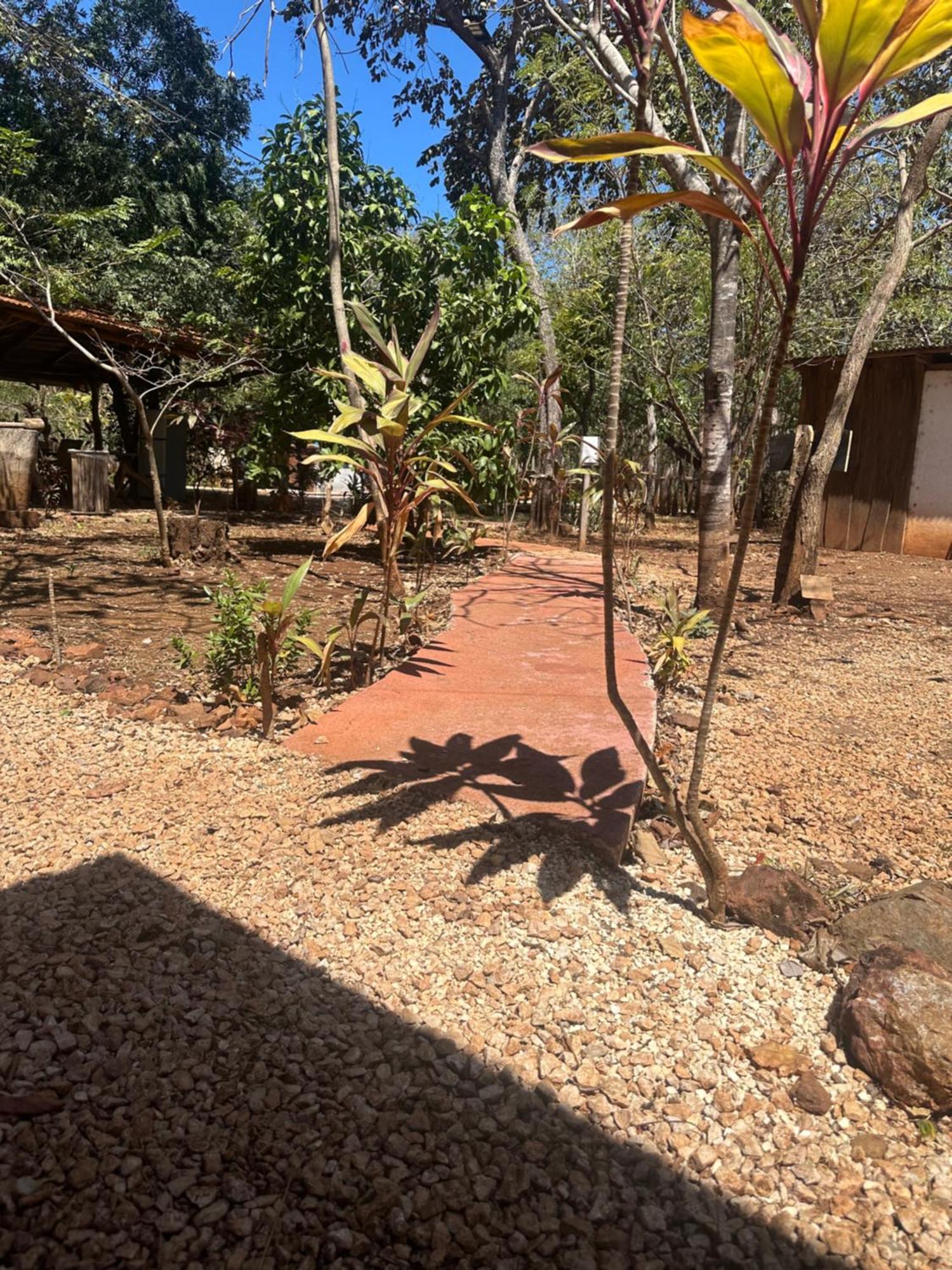 Finca Avellanas Lorena エクステリア 写真