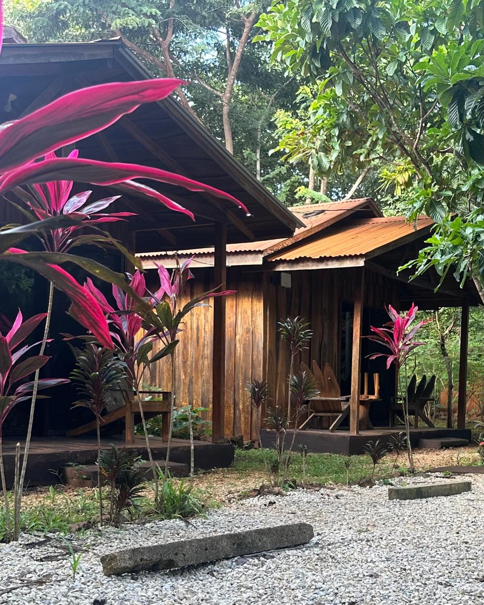 Finca Avellanas Lorena エクステリア 写真
