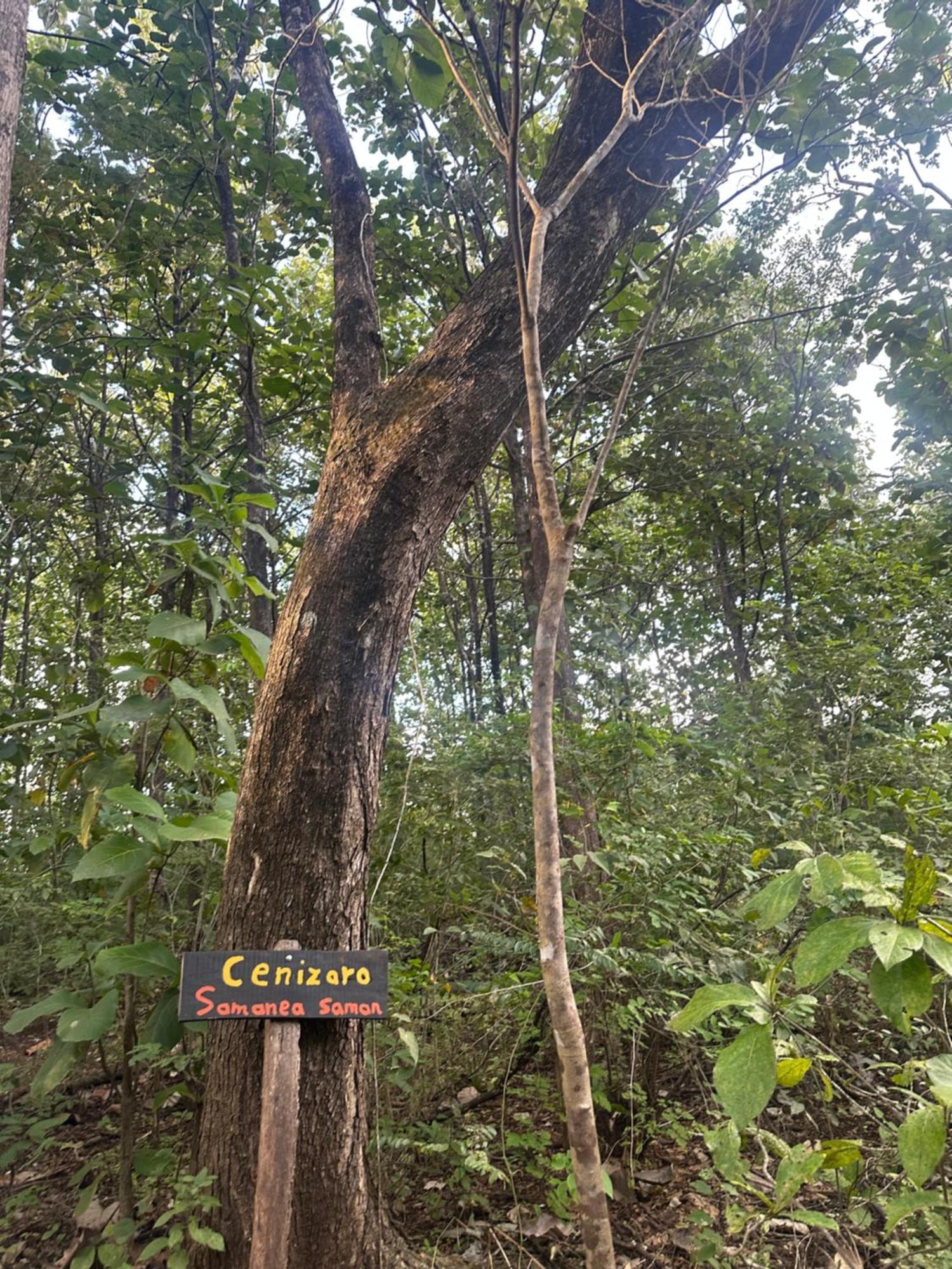 Finca Avellanas Lorena エクステリア 写真