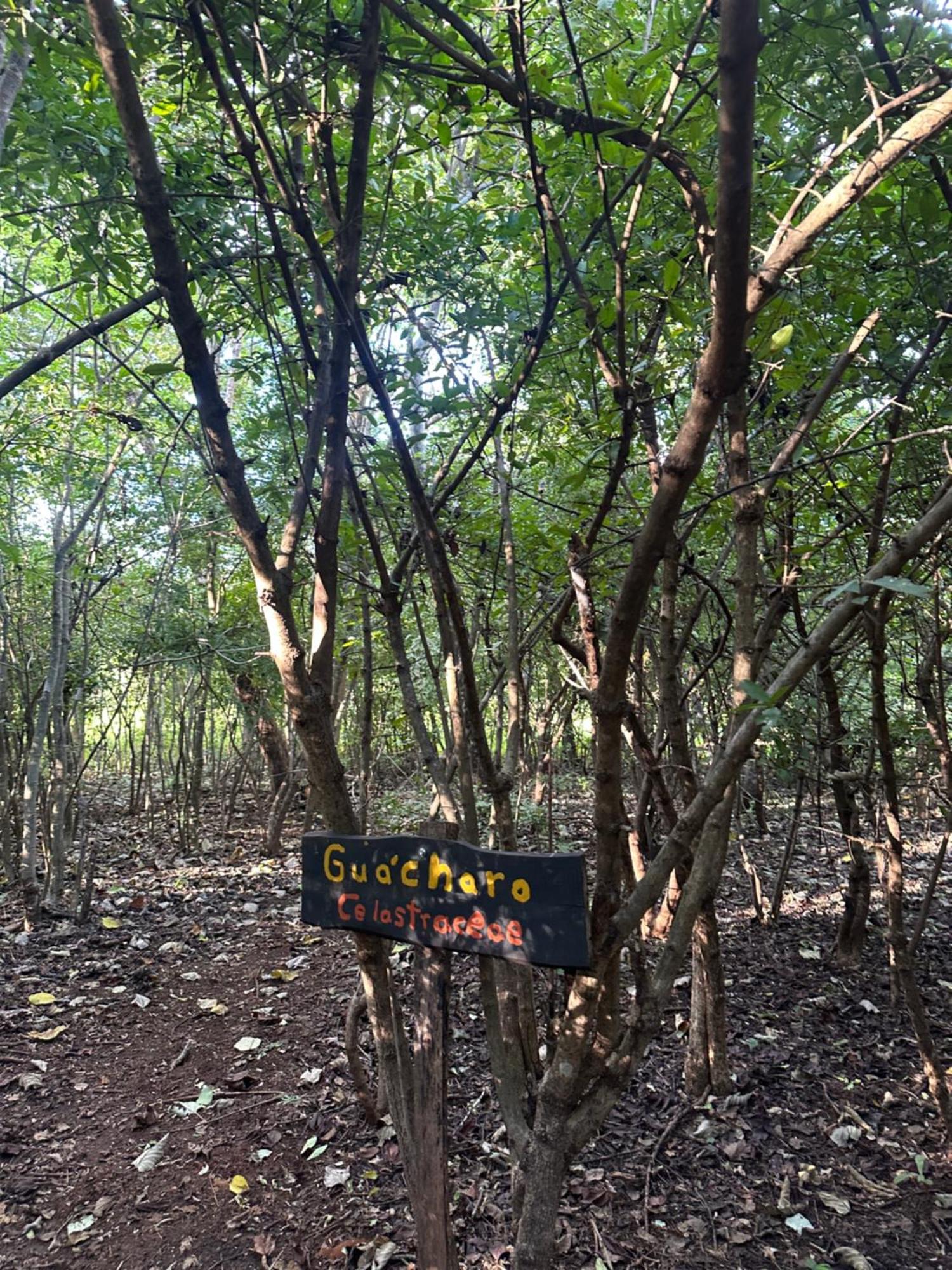 Finca Avellanas Lorena エクステリア 写真